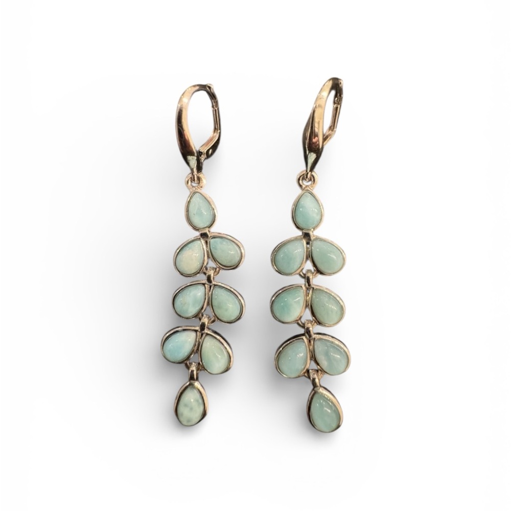 Sterling Silver Dangle Earrings